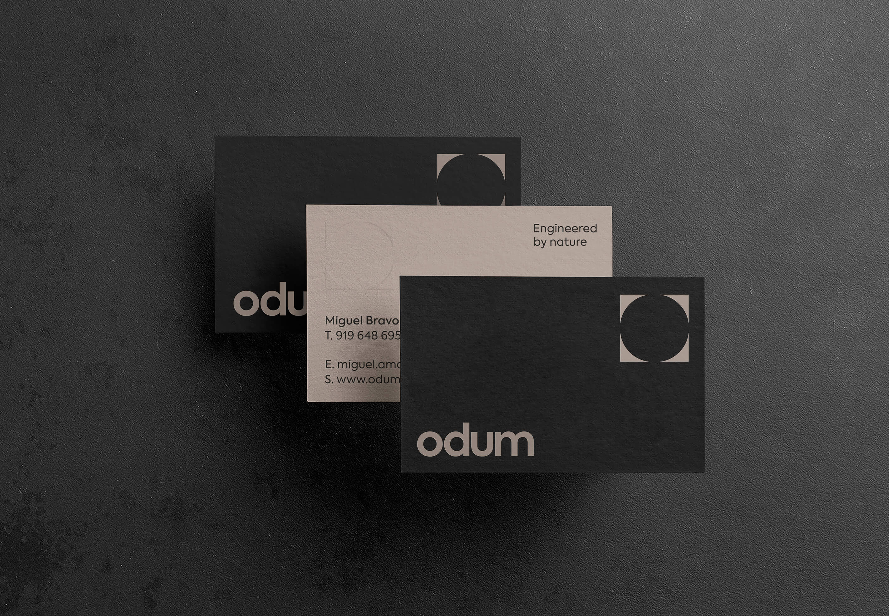 João Fonseca - Freelance Graphic Designer | Odum