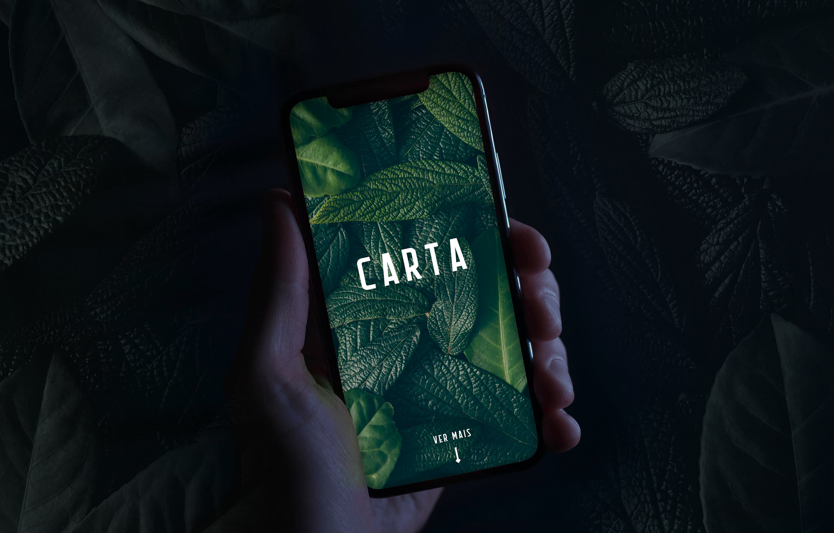 João Fonseca - Freelance Graphic Designer | Jacaré