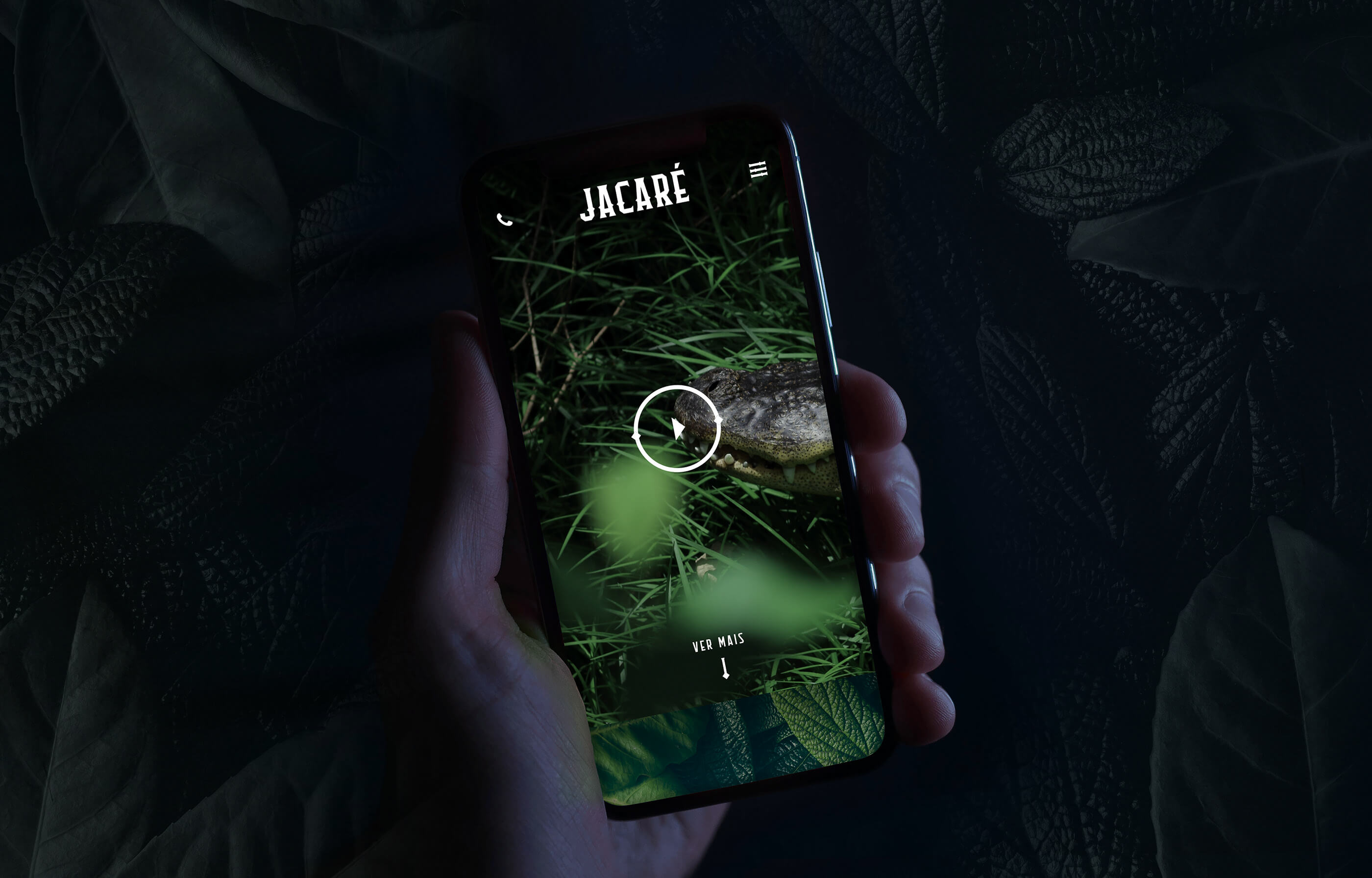 João Fonseca - Freelance Graphic Designer | Jacaré