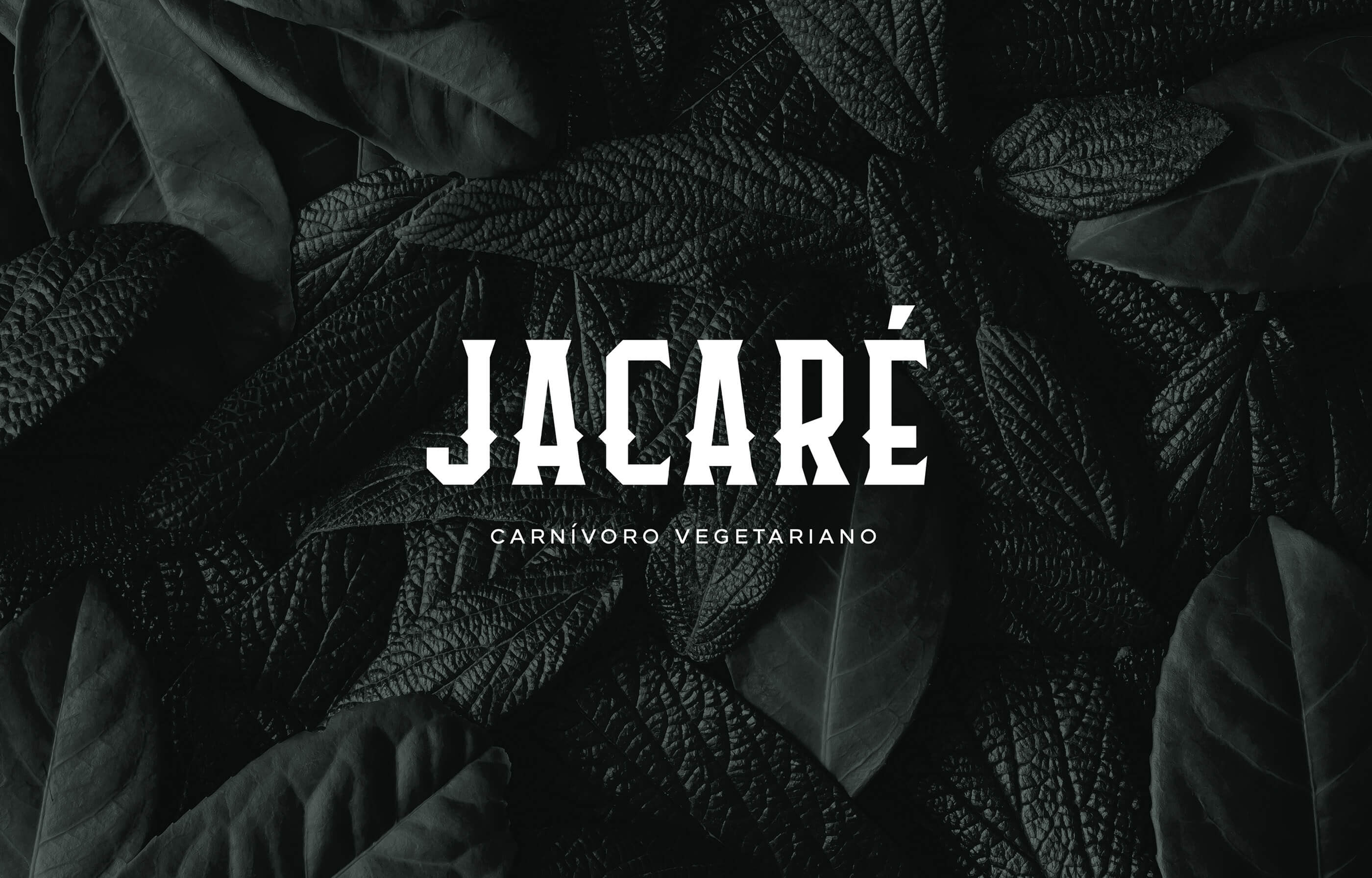 João Fonseca - Freelance Graphic Designer | Jacaré