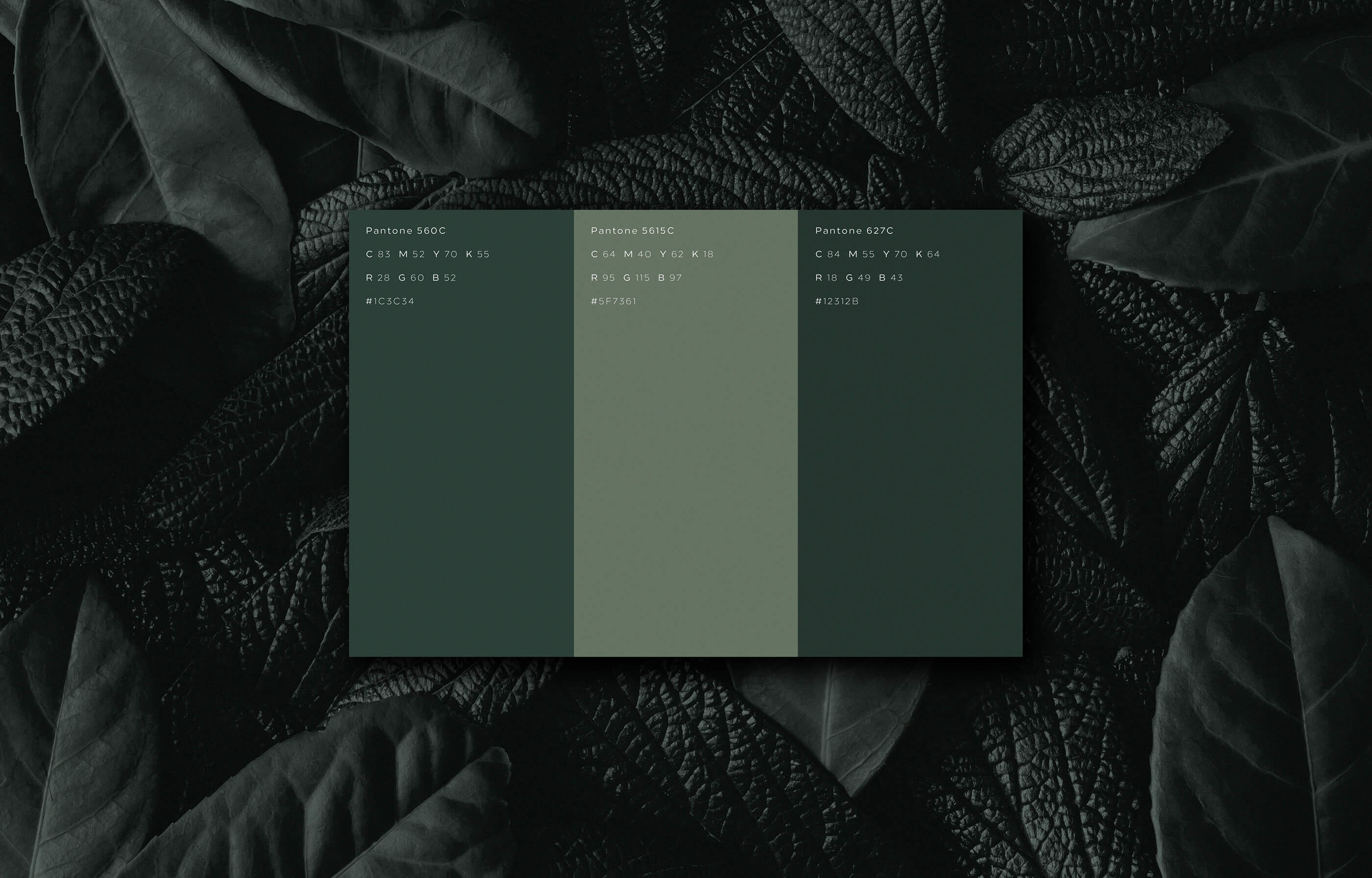 João Fonseca - Freelance Graphic Designer | Jacaré