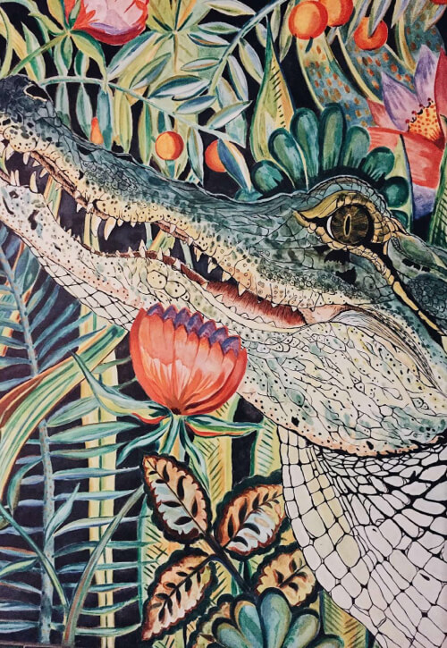 João Fonseca - Freelance Graphic Designer | Jacaré