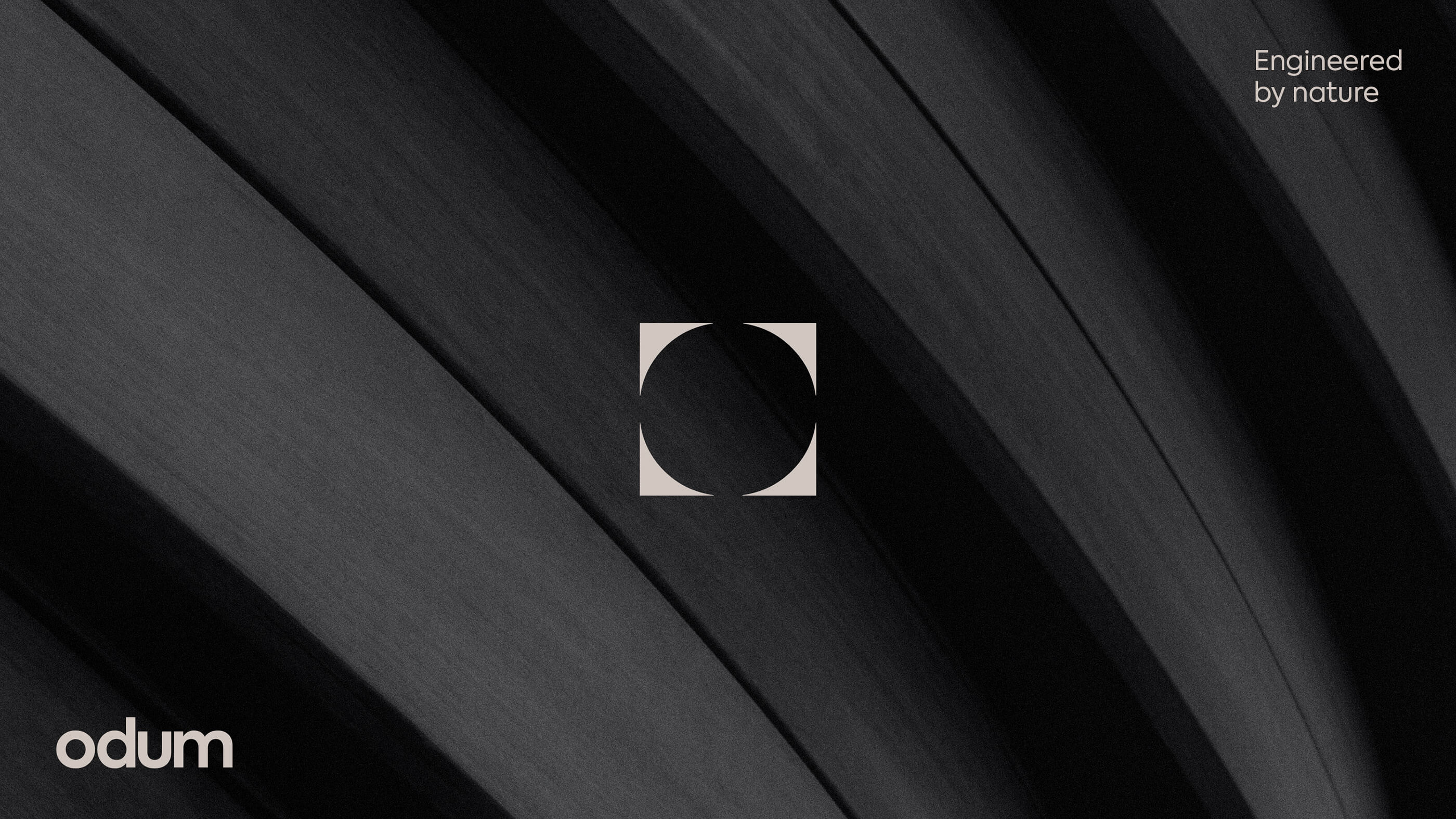 João Fonseca - Freelance Graphic Designer | Odum