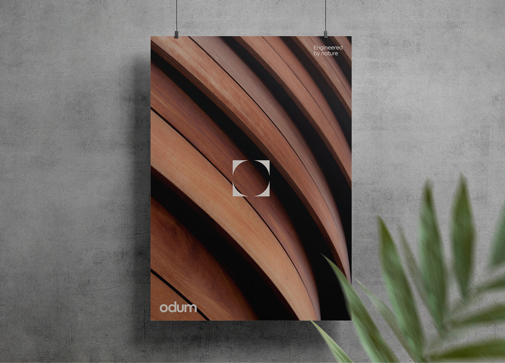 João Fonseca - Freelance Graphic Designer | Odum