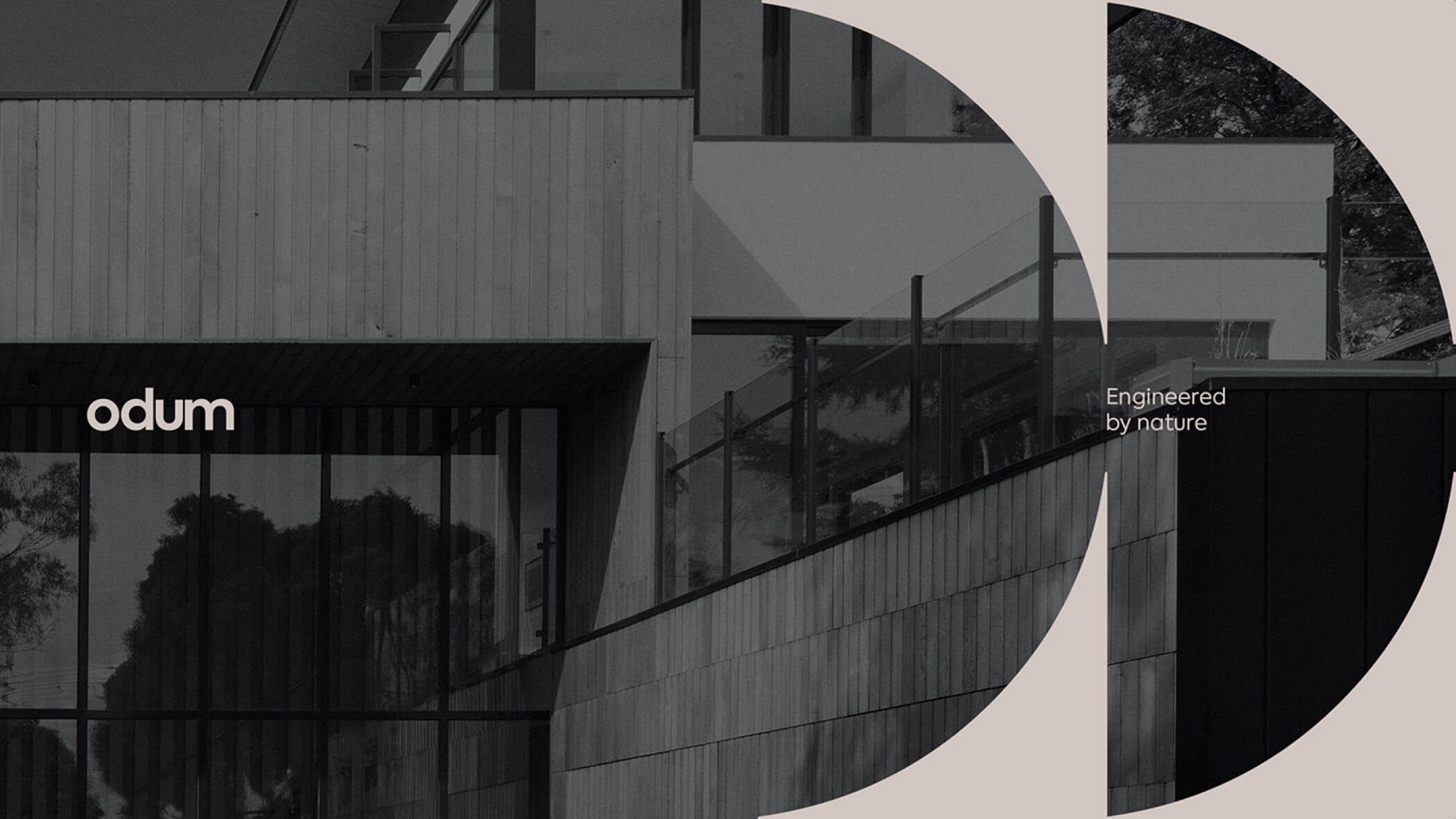 João Fonseca - Freelance Graphic Designer | Odum