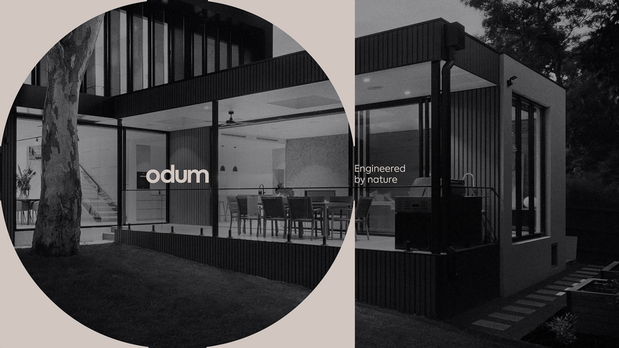 João Fonseca - Freelance Graphic Designer | Odum