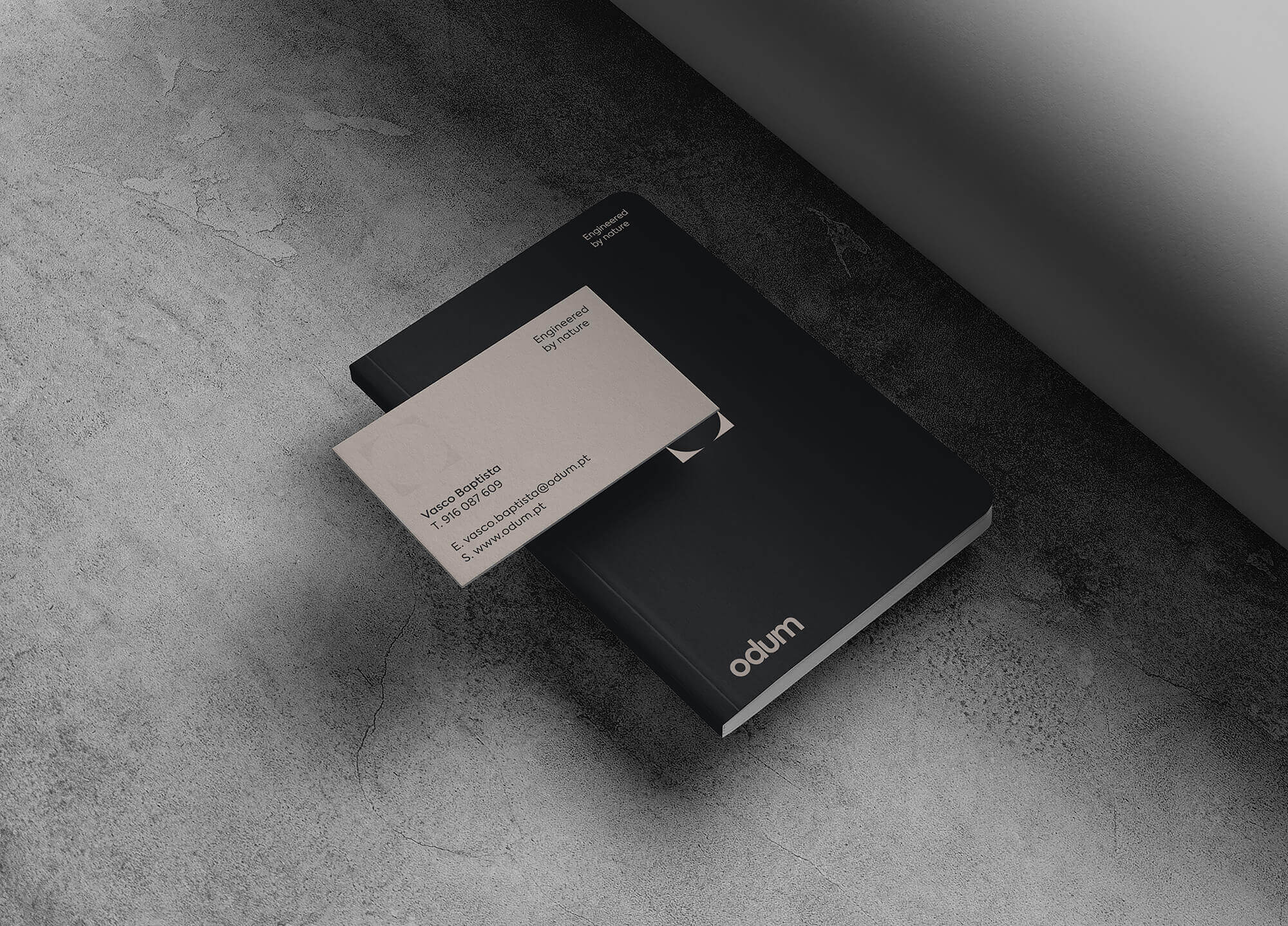 João Fonseca - Freelance Graphic Designer | Odum