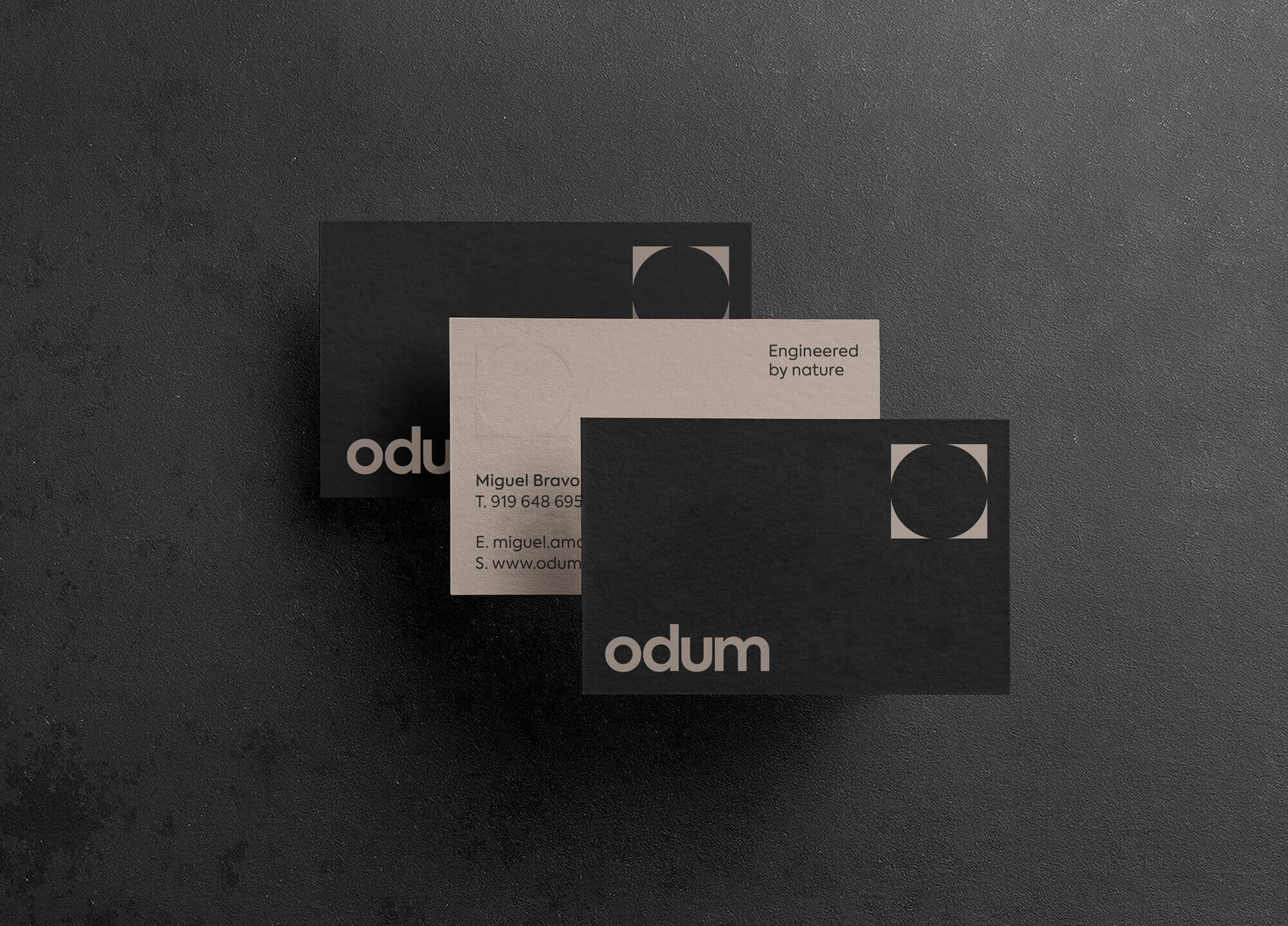 João Fonseca - Freelance Graphic Designer | Odum