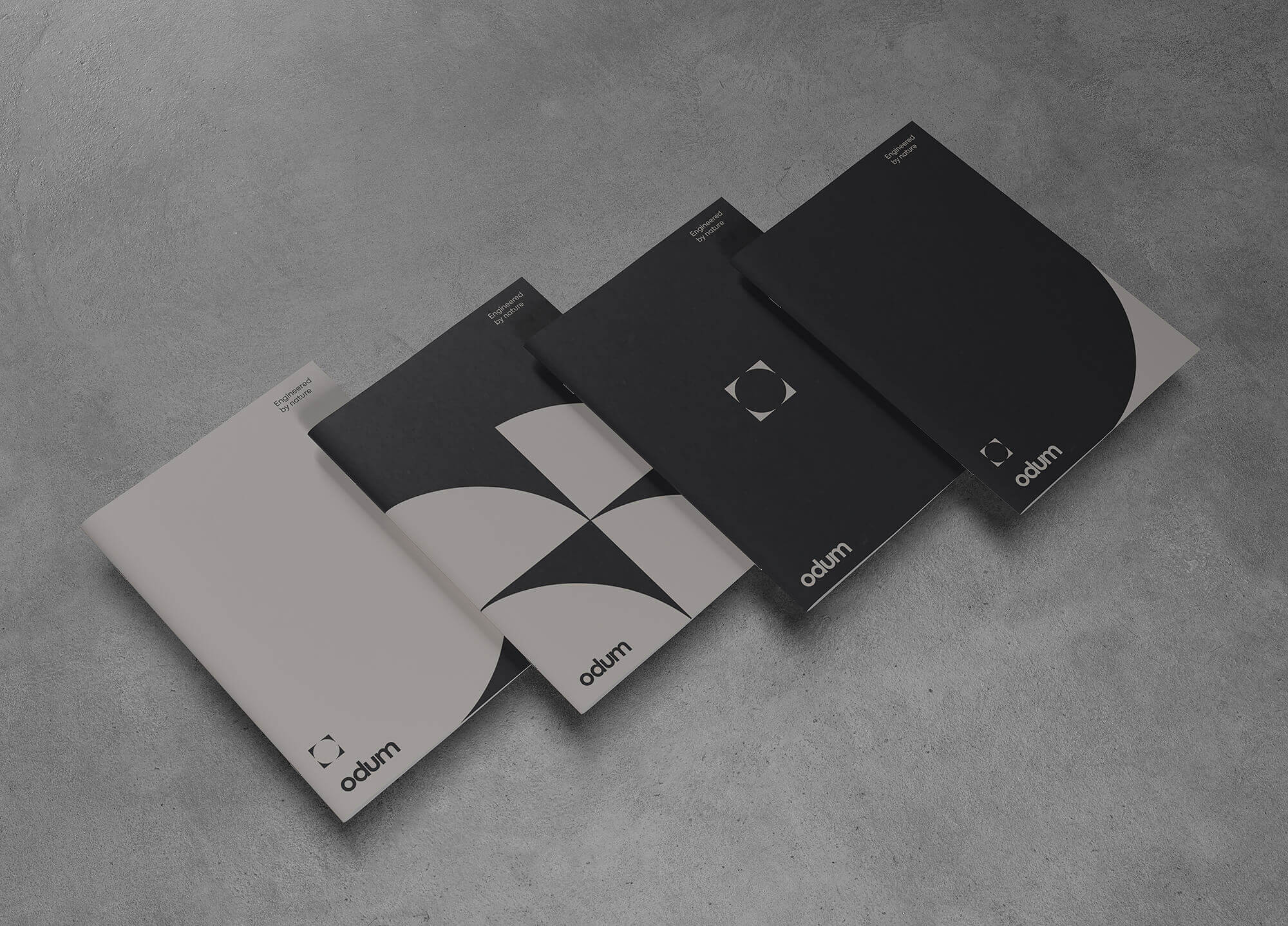 João Fonseca - Freelance Graphic Designer | Odum