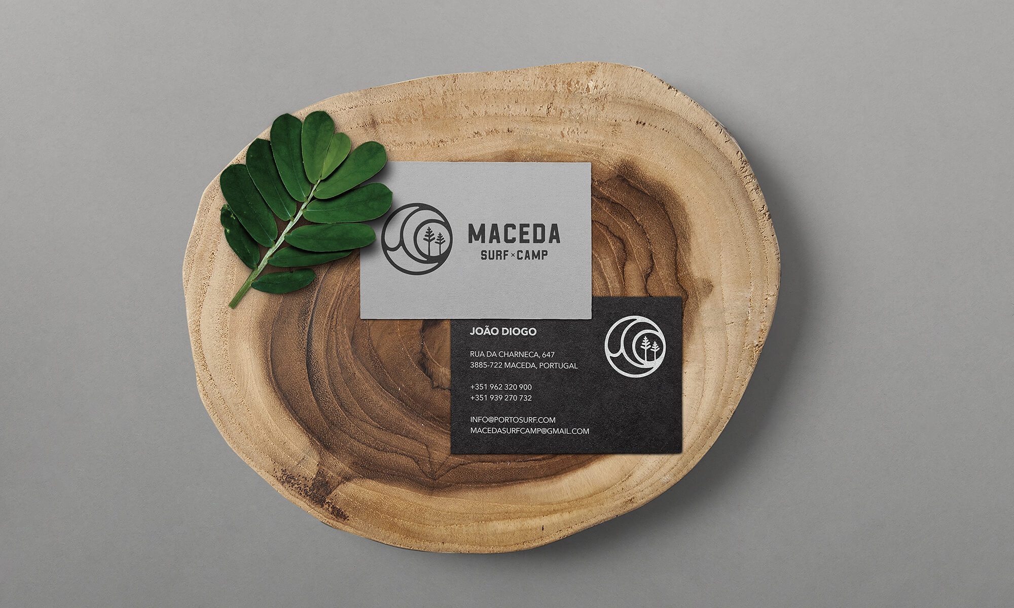 João Fonseca - Freelance Graphic Designer | Maceda Surf Camp